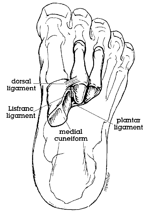 image96y8.png
