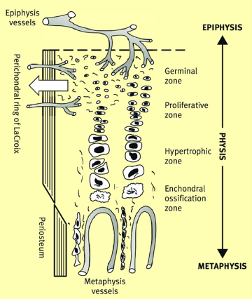 image91rkl.png