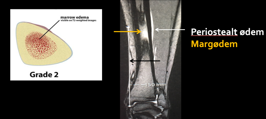 image6ulu.png