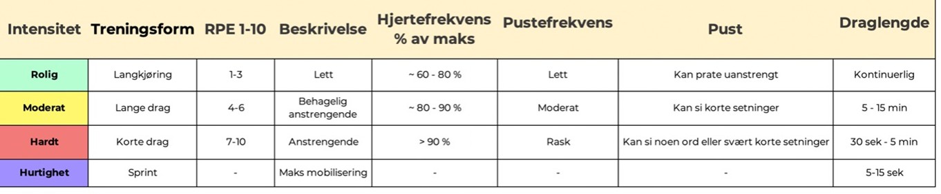 Intensitetsskala.jpg