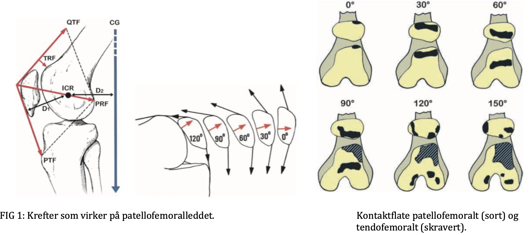 Skjermbilde 2021-12-16 kl. 10.50.10.png