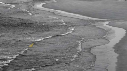 strand.jpg
